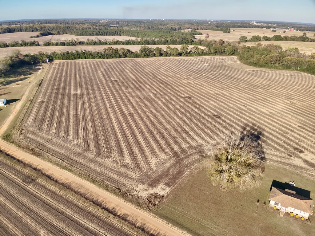 7.57 Acres Burdeshaw Raod, Headland, Alabama image 6