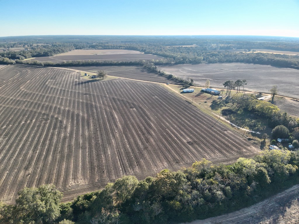 7.57 Acres Burdeshaw Raod, Headland, Alabama image 9