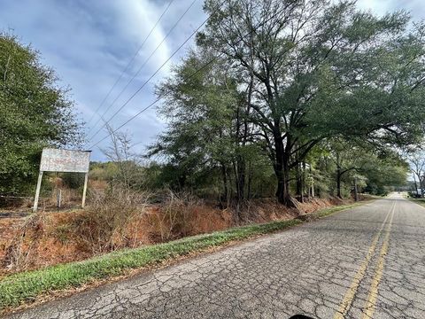 Vacant Land For Sale - 207 Cherry Street<br/> Geneva County, Chancellor, AL 36316