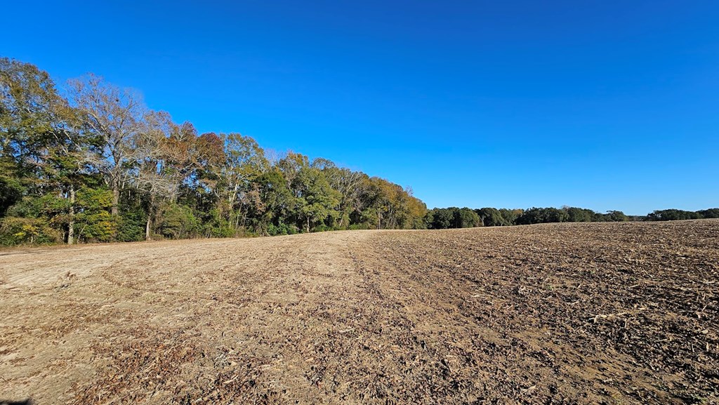 92 Acres County Road 5, Ozark, Alabama image 2