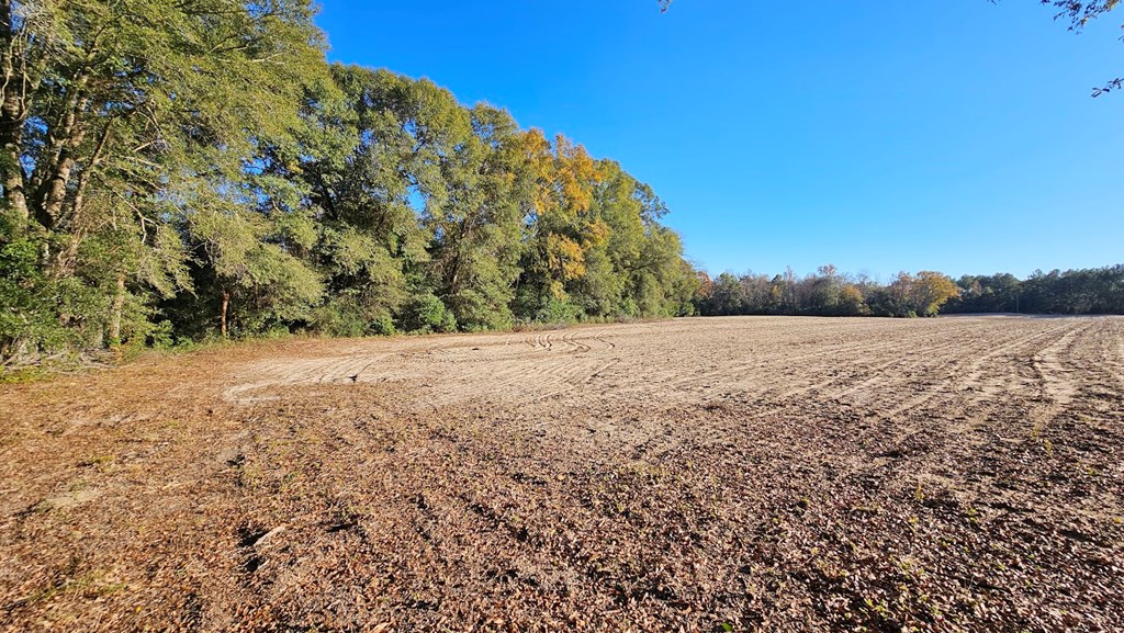 92 Acres County Road 5, Ozark, Alabama image 9