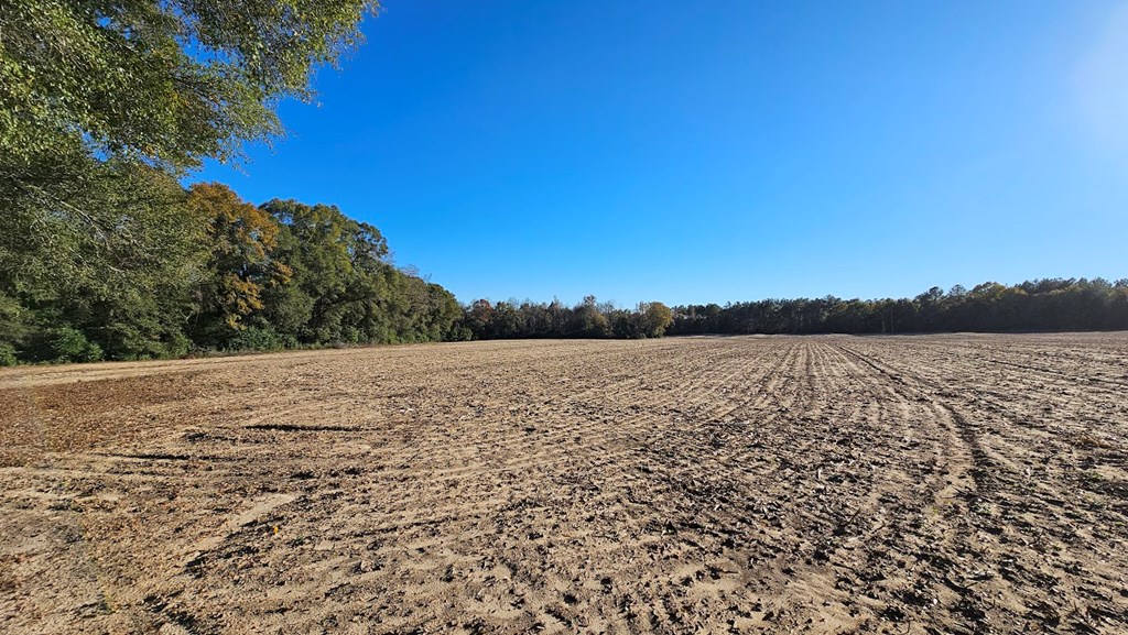 92 Acres County Road 5, Ozark, Alabama image 8