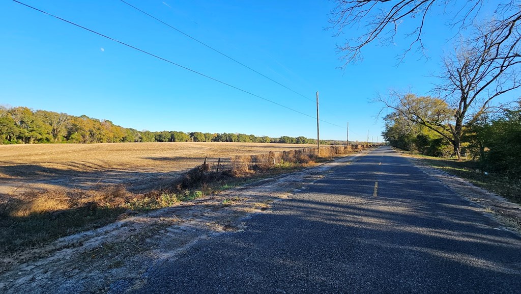 92 Acres County Road 5, Ozark, Alabama image 12