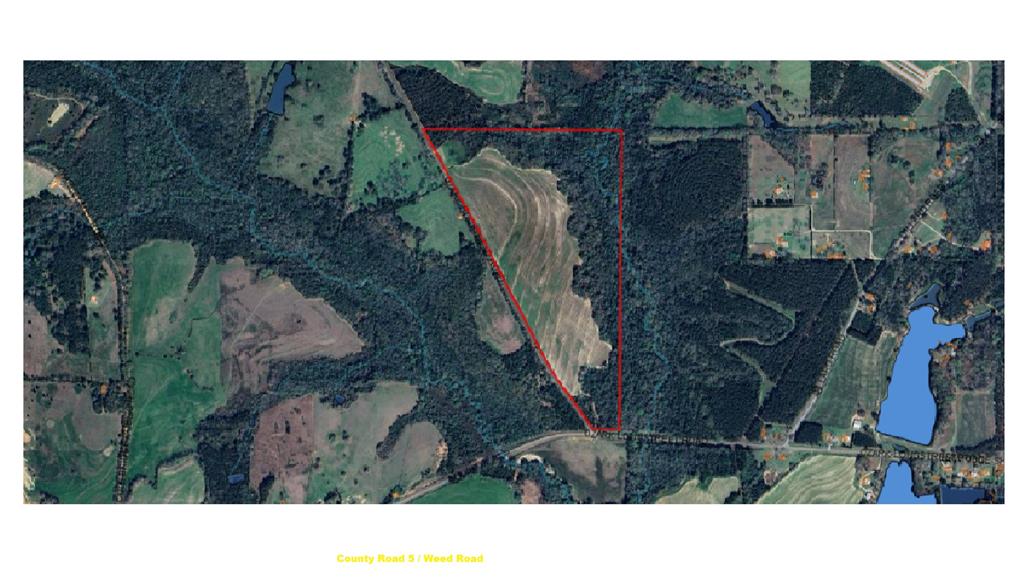 92 Acres County Road 5, Ozark, Alabama image 19