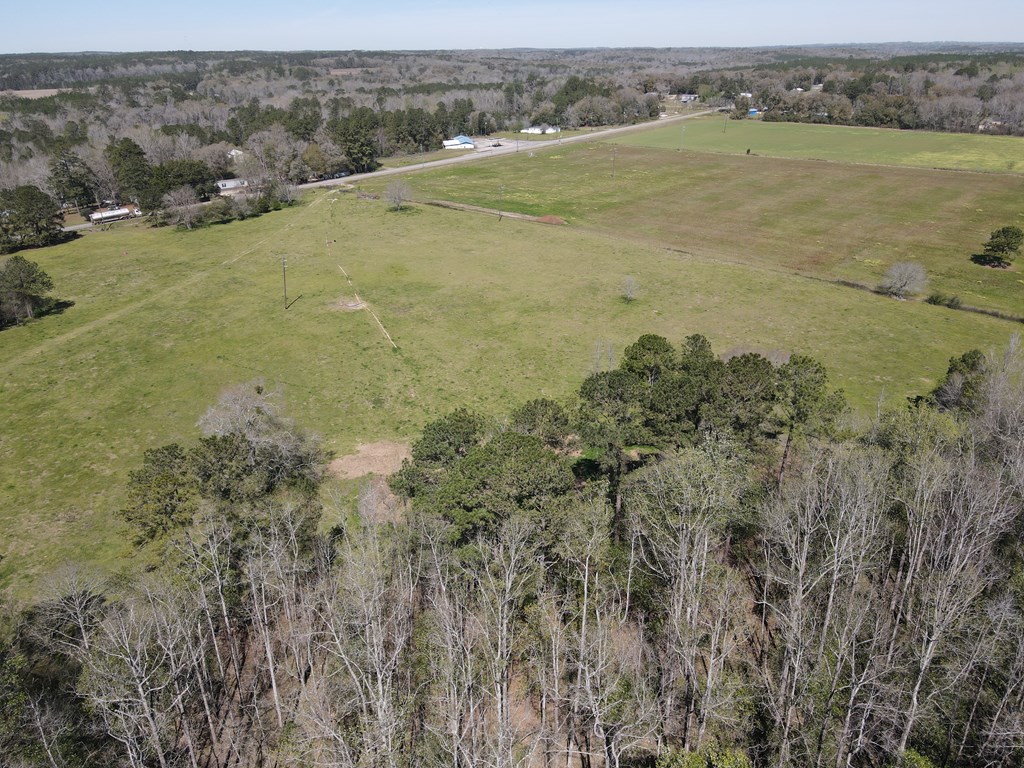 00 St Hwy 123, Newton, Alabama image 12
