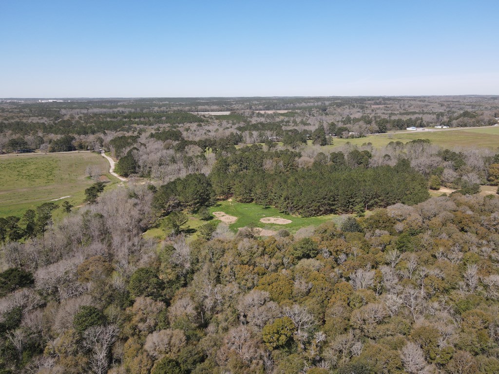 00 St Hwy 123, Newton, Alabama image 8