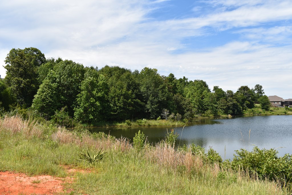 TBD Freedom Heights, Enterprise, Alabama image 7