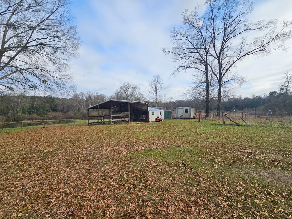 100 County Road 322, Ozark, Alabama image 5