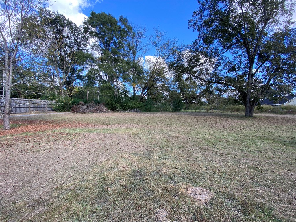 20267 Highway 39, Blakely, Georgia image 39