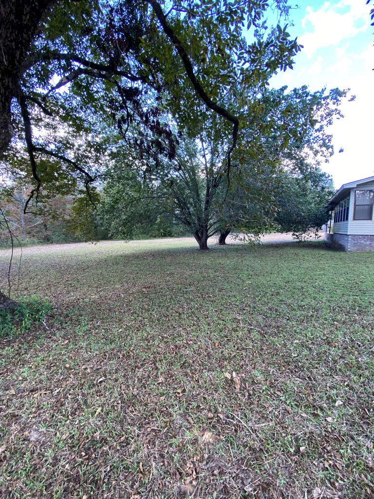 20267 Highway 39, Blakely, Georgia image 48