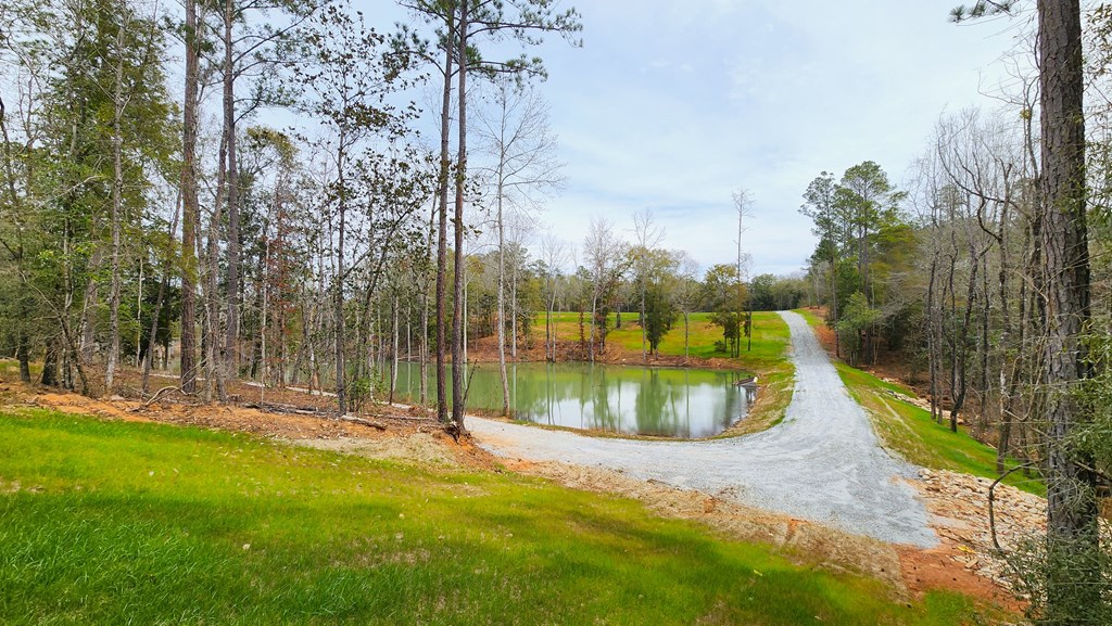 County Rd 13, Headland, Alabama image 10