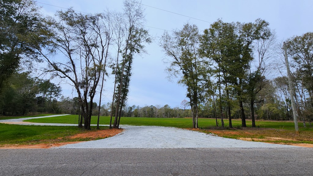 County Rd 13, Headland, Alabama image 4