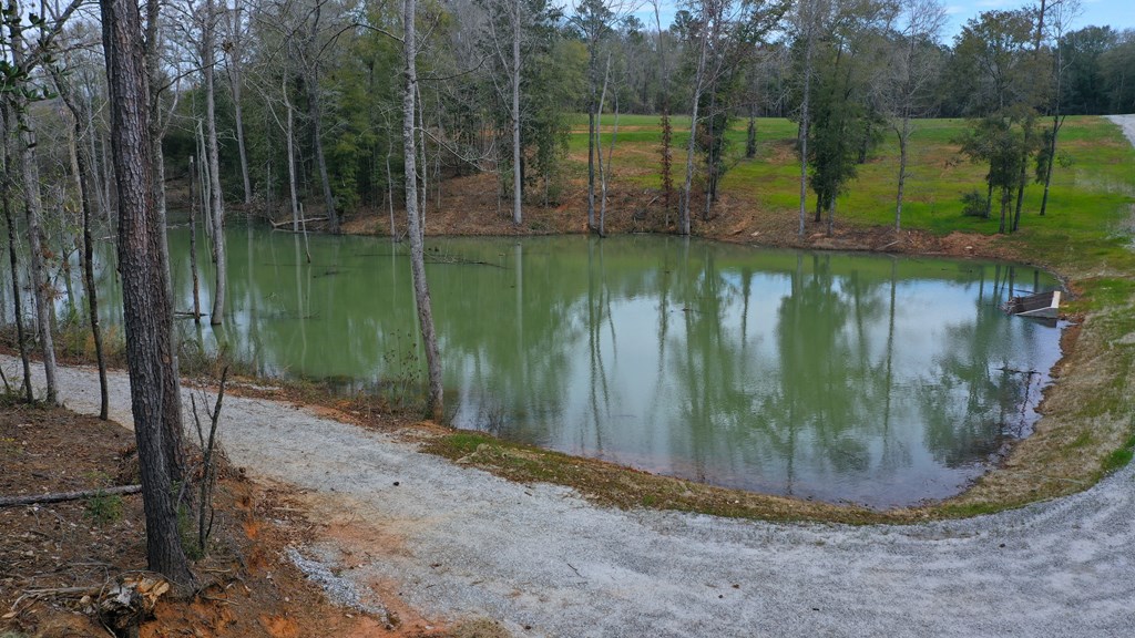 County Rd 13, Headland, Alabama image 17