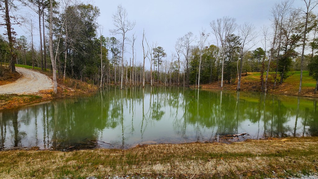 County Rd 13, Headland, Alabama image 12