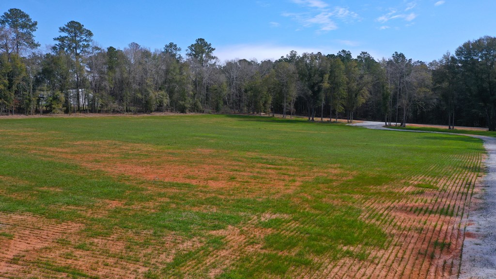 County Rd 13, Headland, Alabama image 25