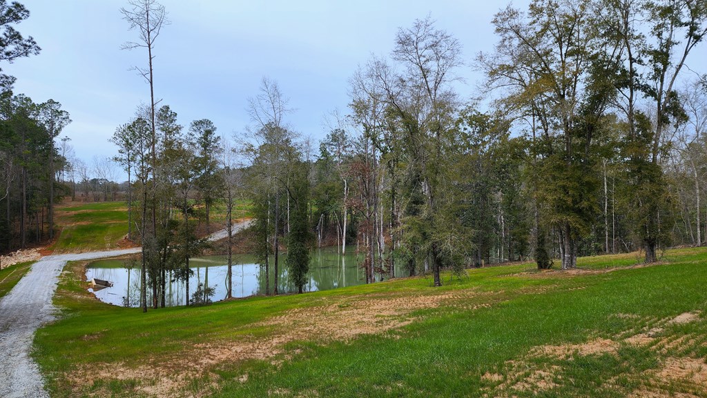 County Rd 13, Headland, Alabama image 14