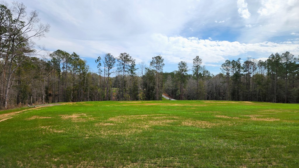 County Rd 13, Headland, Alabama image 22