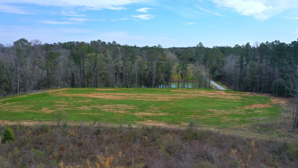 County Rd 13, Headland, Alabama image 27