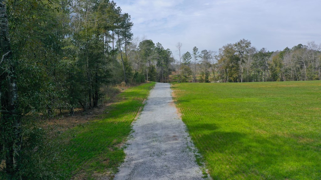 County Rd 13, Headland, Alabama image 7