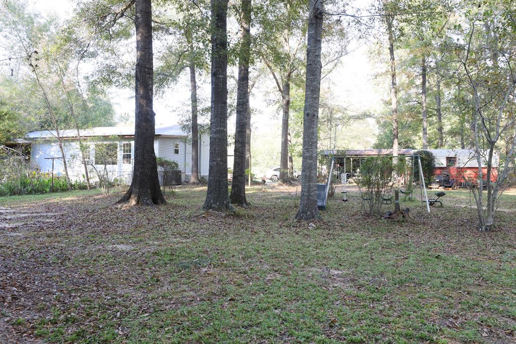 380 Timber Ln Timberlane, Abbeville, Alabama image 19