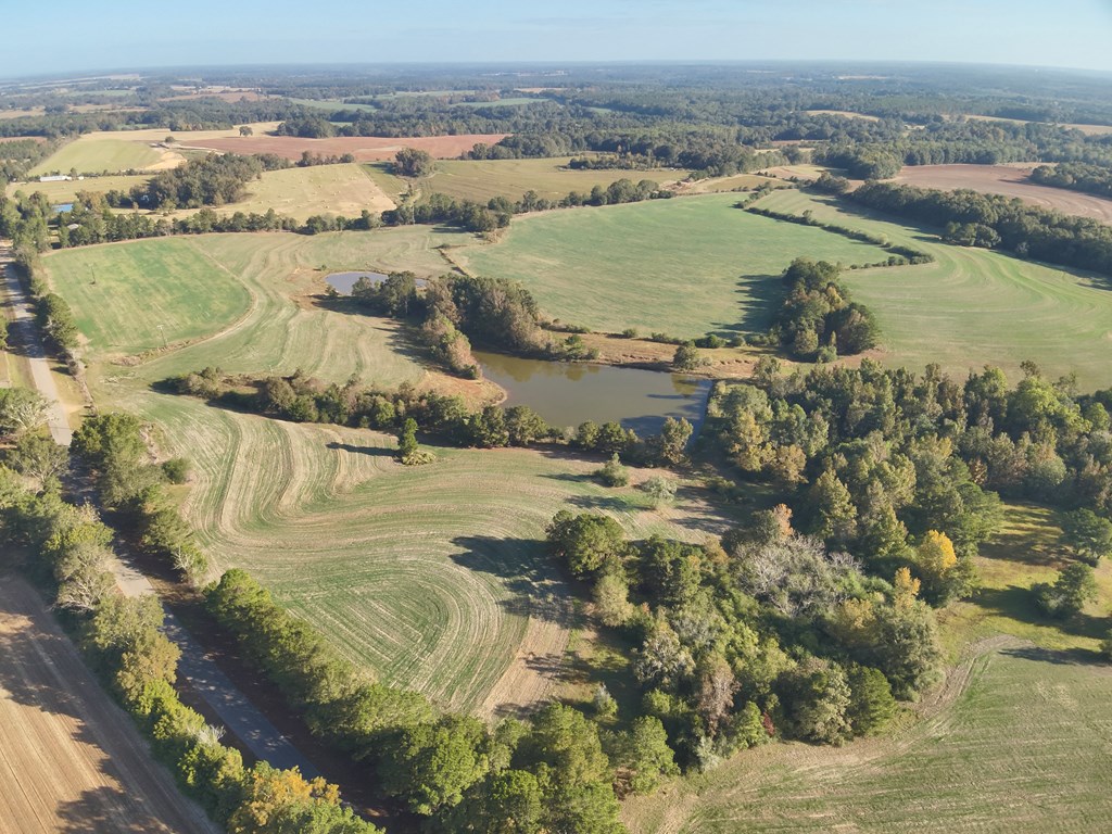 111 Acres County Road 661, Samson, Alabama image 8