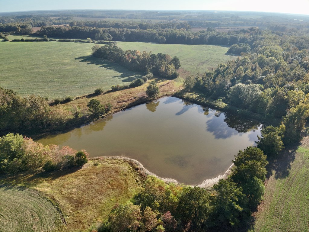 111 Acres County Road 661, Samson, Alabama image 2