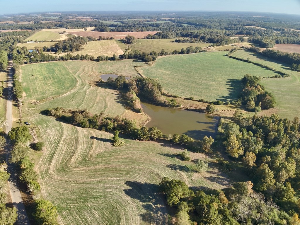 111 Acres County Road 661, Samson, Alabama image 5