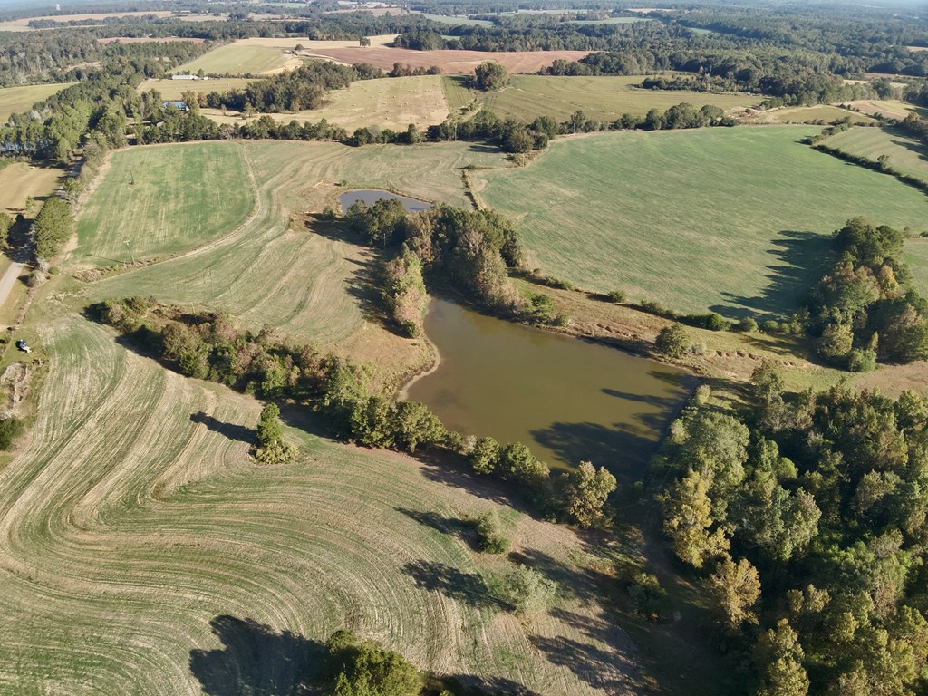 111 Acres County Road 661, Samson, Alabama image 4