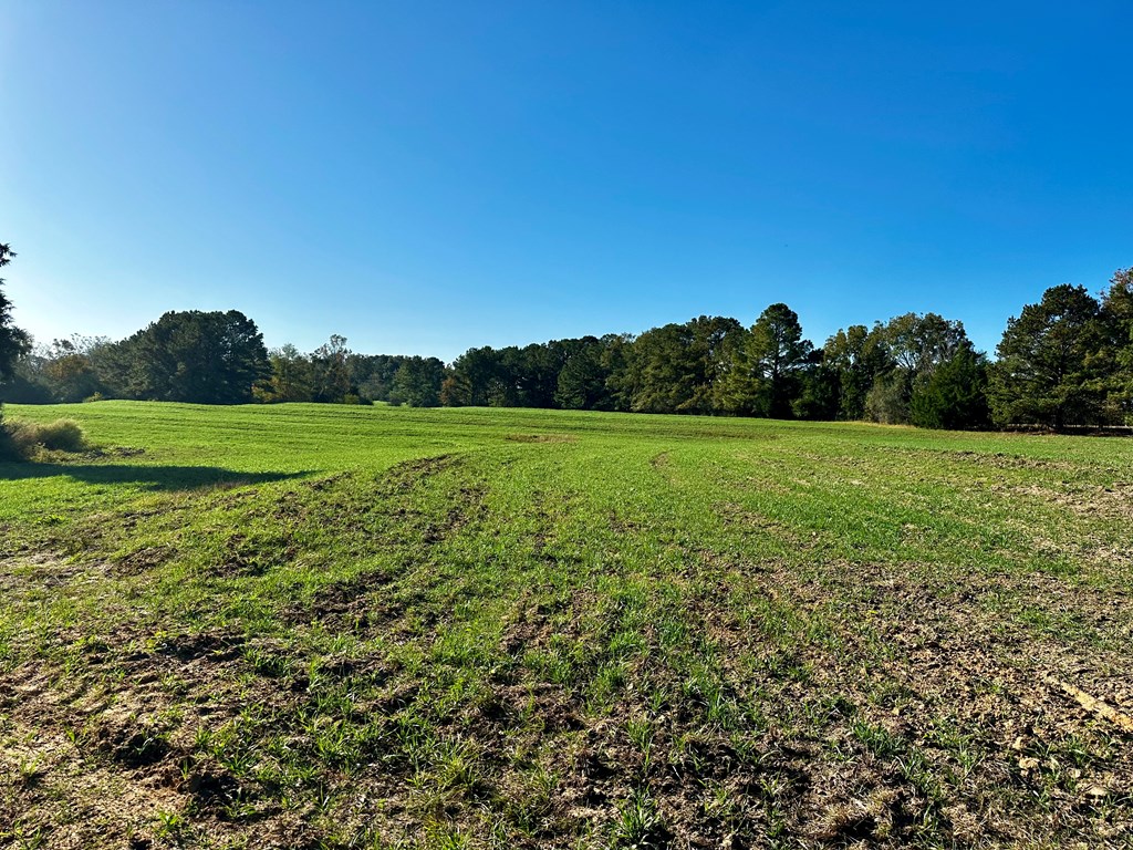 111 Acres County Road 661, Samson, Alabama image 14