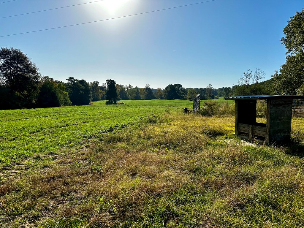 111 Acres County Road 661, Samson, Alabama image 12