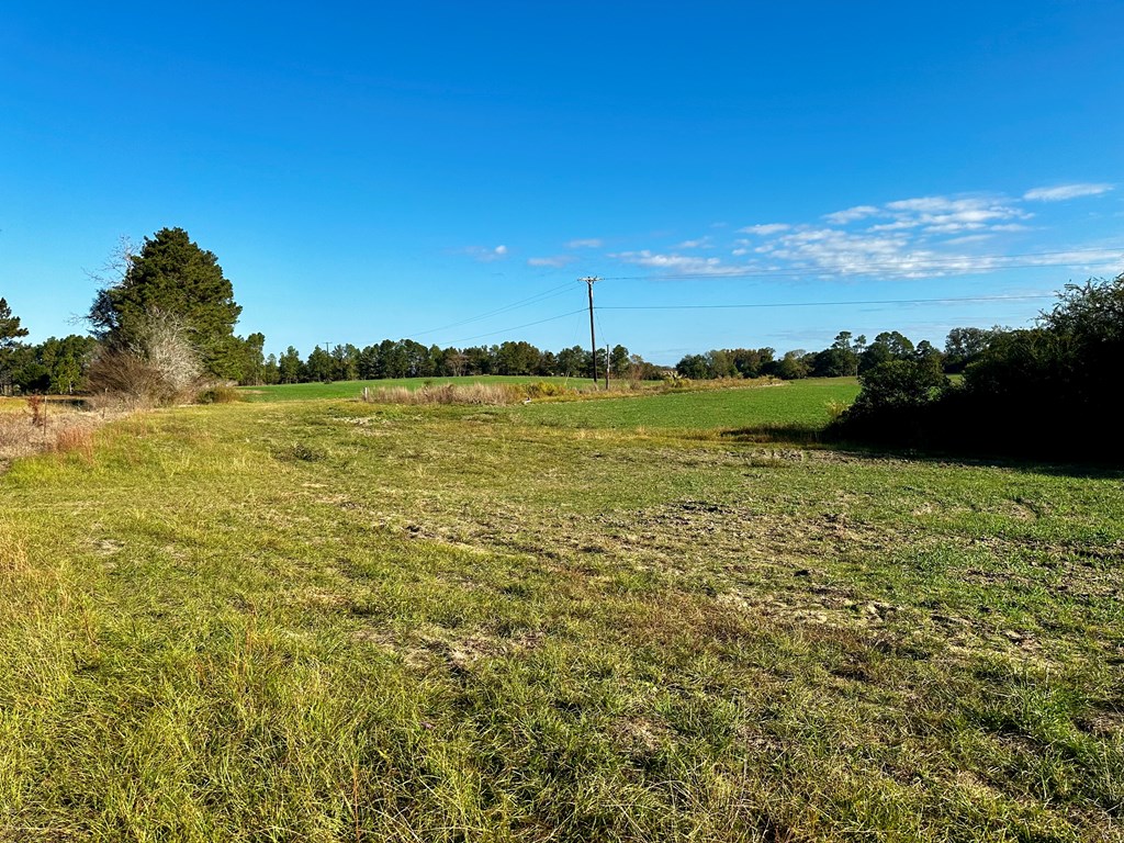 111 Acres County Road 661, Samson, Alabama image 11