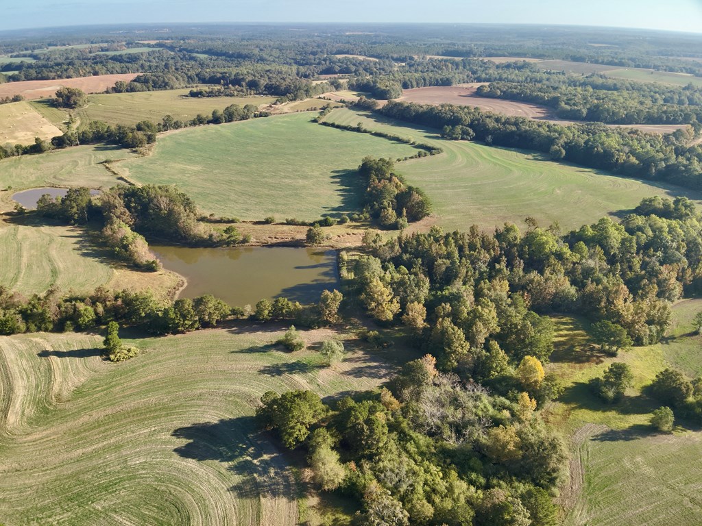 111 Acres County Road 661, Samson, Alabama image 6