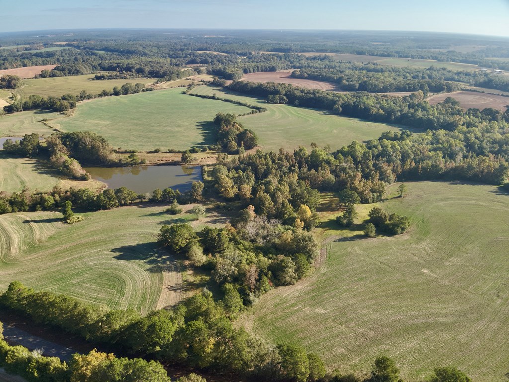 111 Acres County Road 661, Samson, Alabama image 10