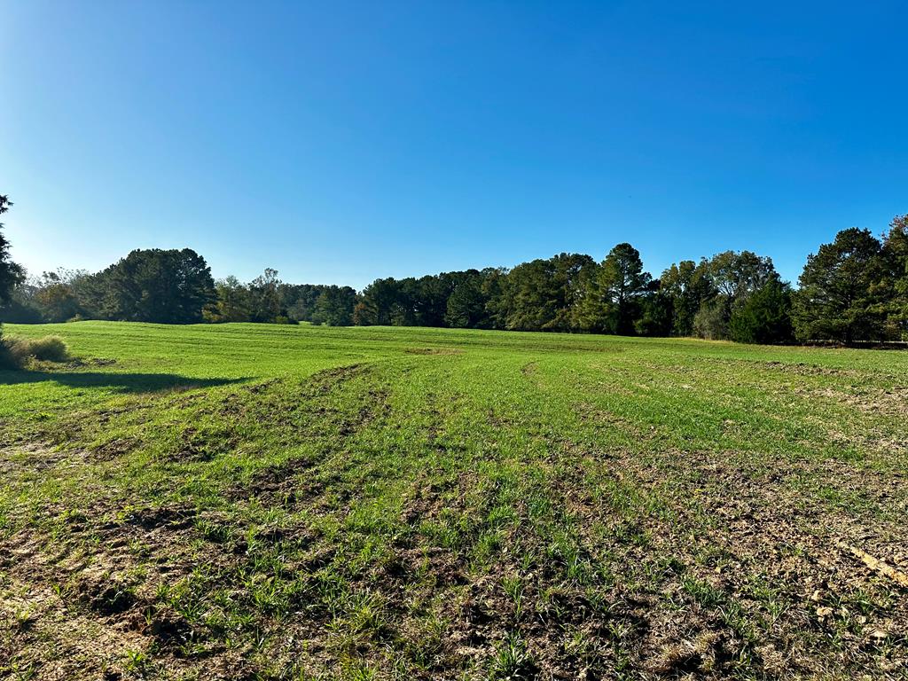 111 Acres County Road 661, Samson, Alabama image 16