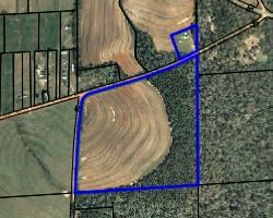 Lot 6 Rehobeth, Dothan, Alabama image 3