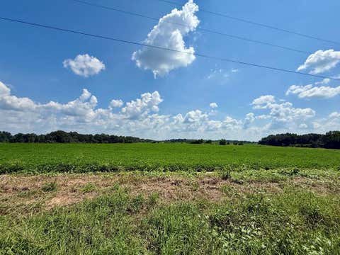 Vacant Land For Sale - Judge Logue Road<br/> Newton, AL 36352