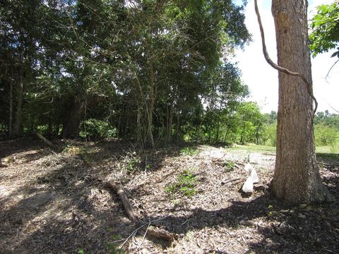 Vacant Land For Sale - 000 Eudon Best Rd<br/> Ashford, AL 36312