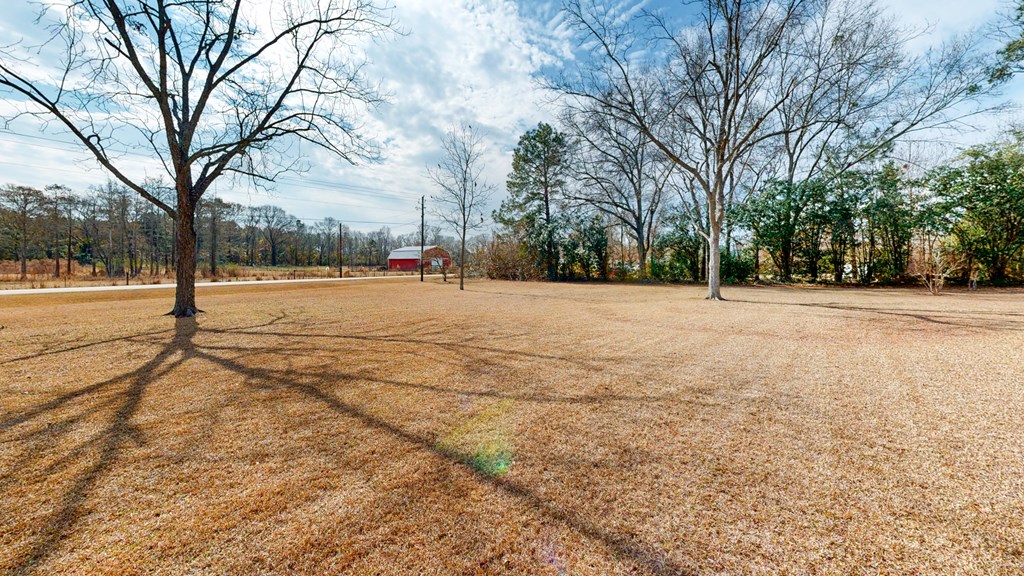 595 Cypress Street, Webb, Alabama image 46