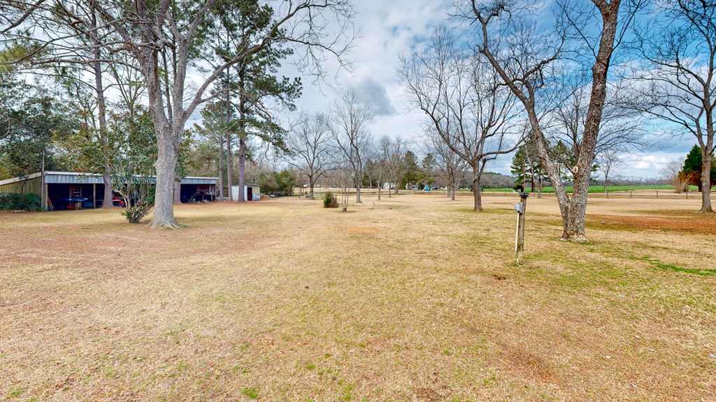 595 Cypress Street, Webb, Alabama image 42