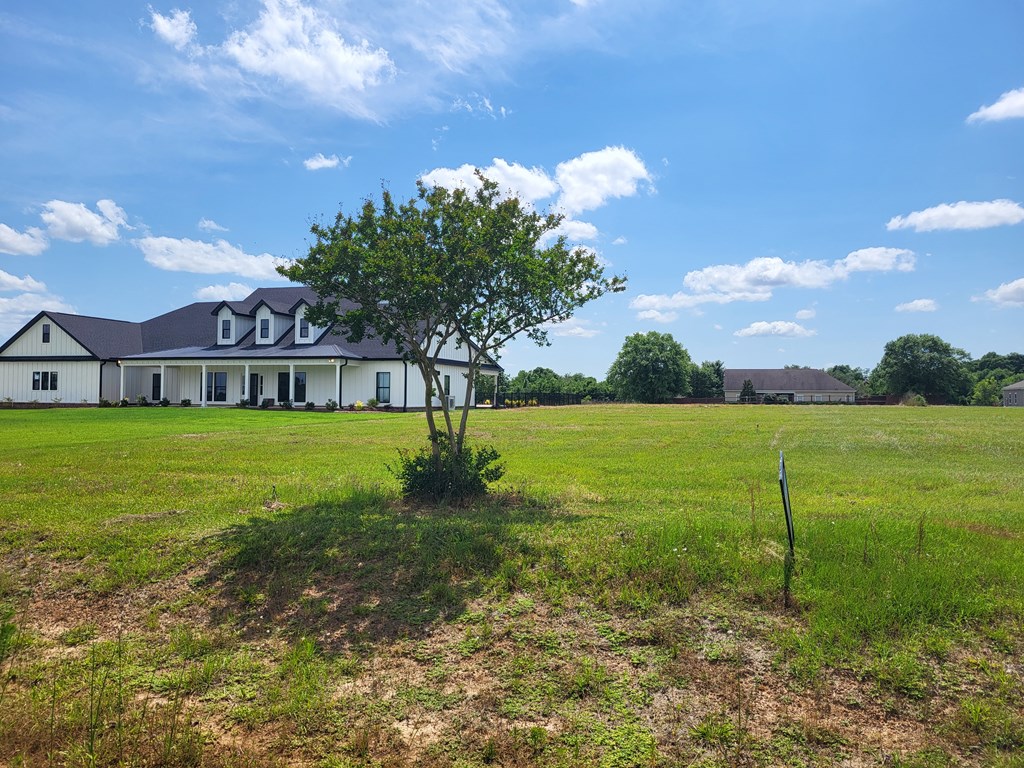 Lot 10 County Road 49, Headland, Alabama image 6