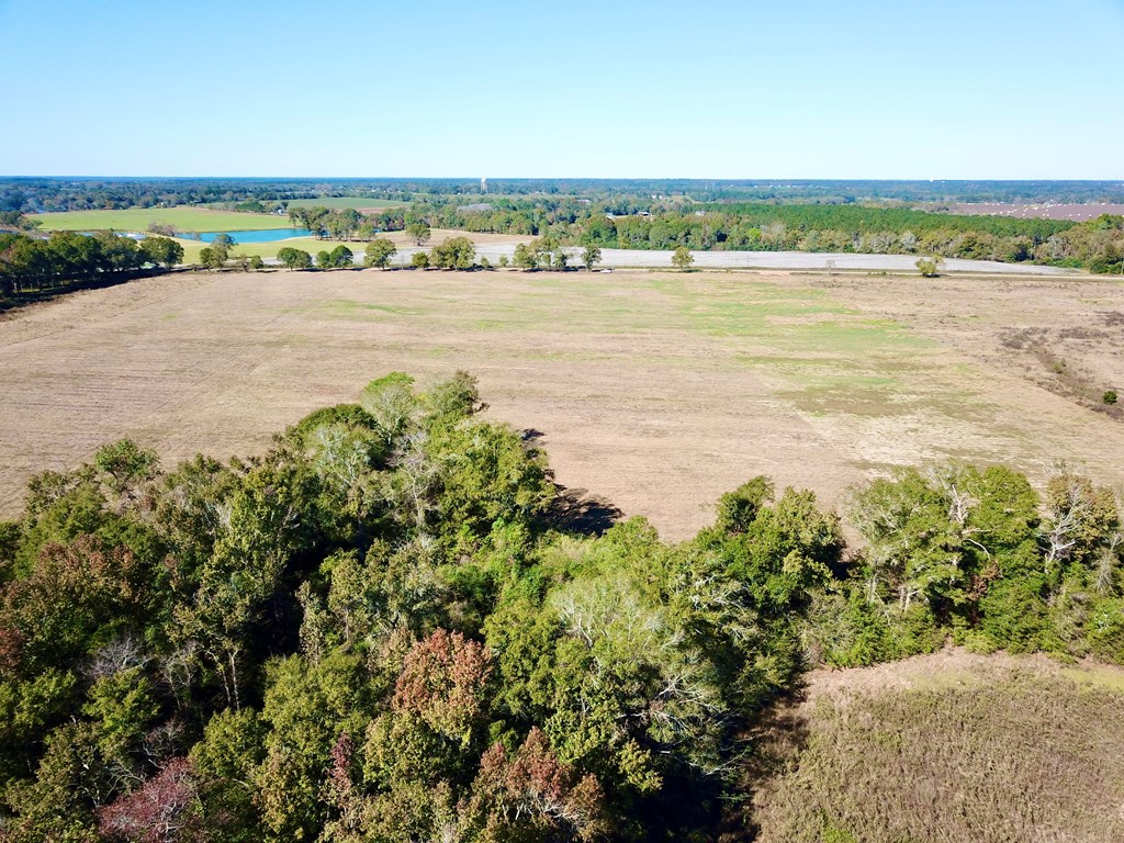 6.35 Acres County Rd 92   Lot 6, Slocomb, Alabama image 6