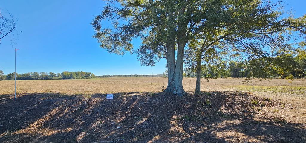 6.35 Acres County Rd 92   Lot 6, Slocomb, Alabama image 1