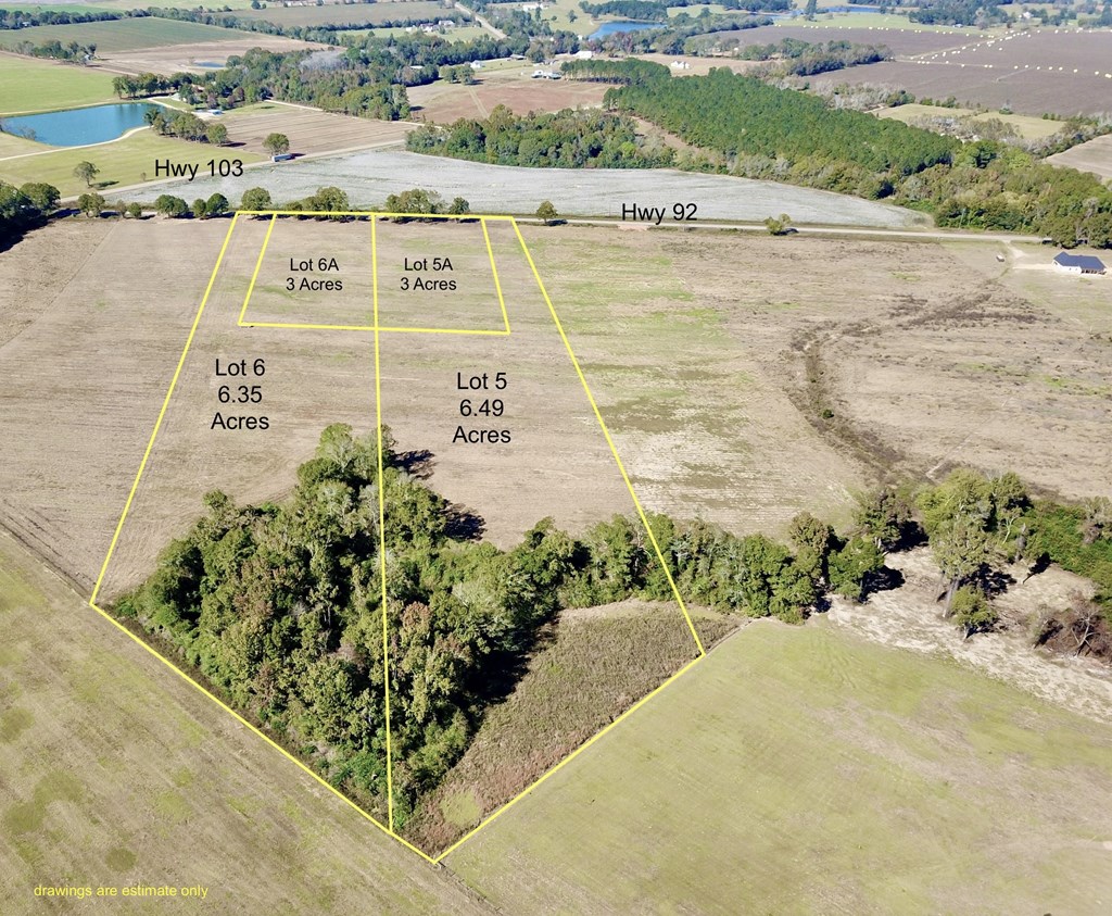 6.35 Acres County Rd 92   Lot 6, Slocomb, Alabama image 2