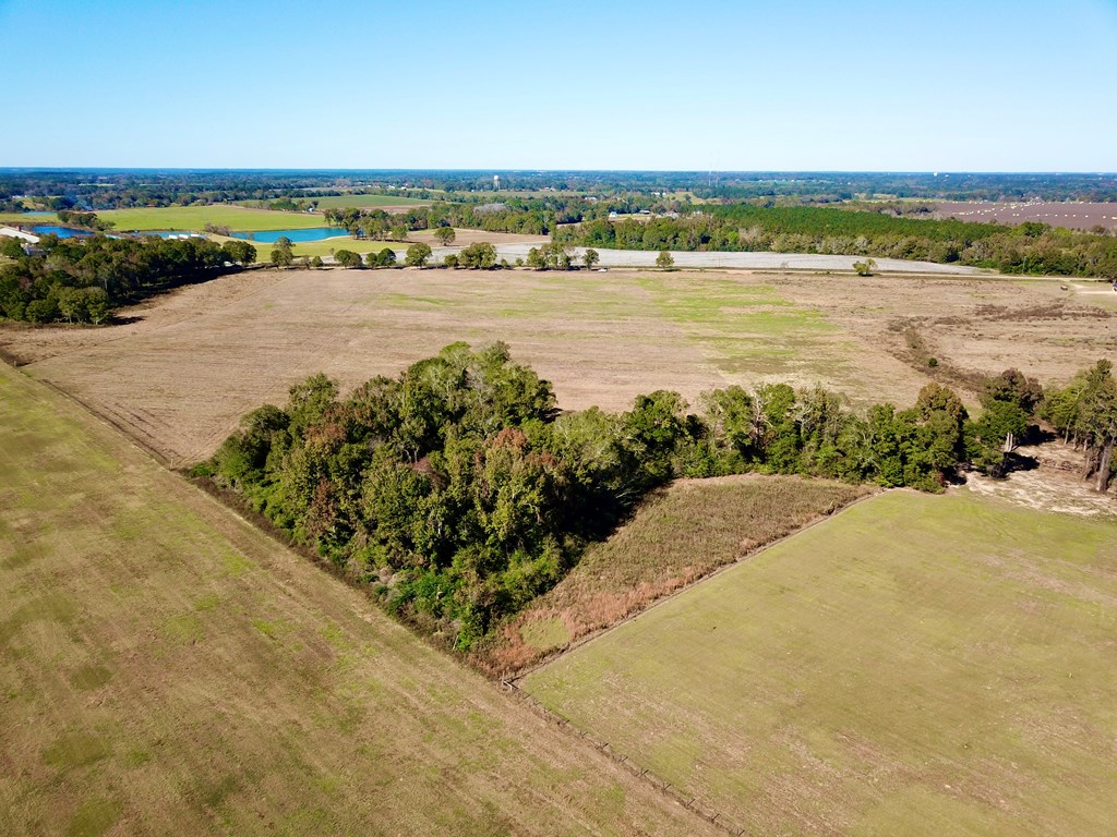 6.35 Acres County Rd 92   Lot 6, Slocomb, Alabama image 7