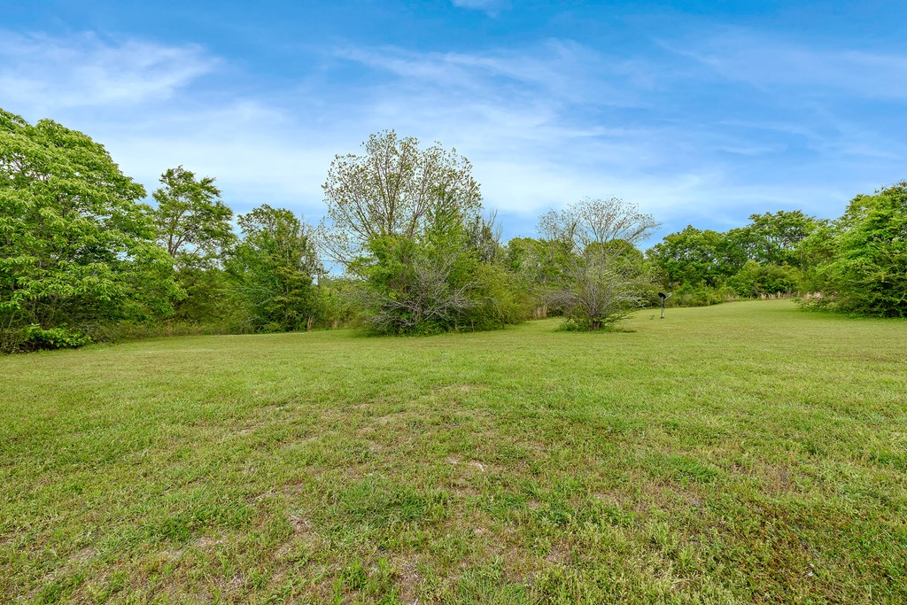1588 N Morris Street, Slocomb, Alabama image 9