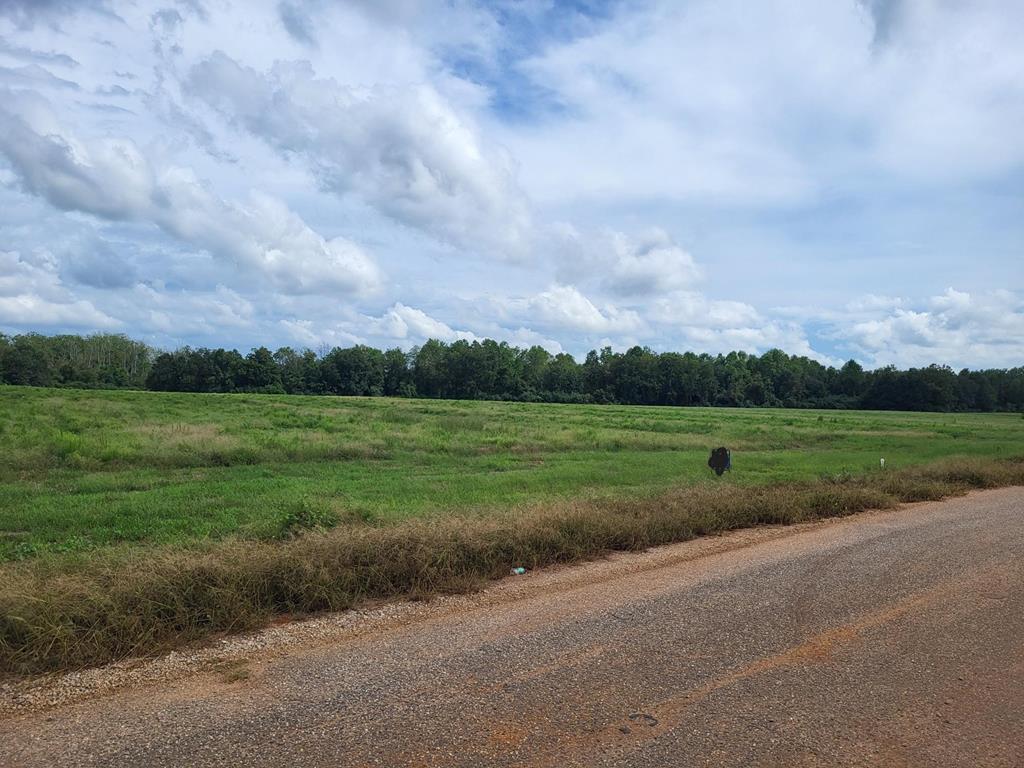 Lot 11 Woodham Rd, Ashford, Alabama image 5