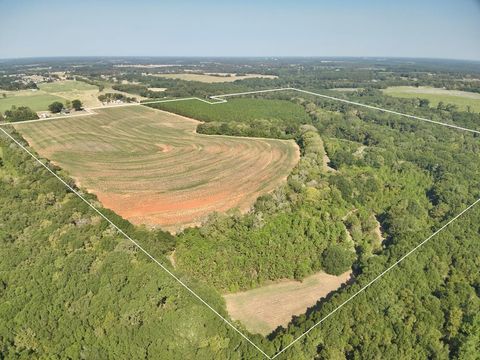 Vacant Land For Sale - 155.33 ACRES County Road 1<br/> Daleville, AL 36322