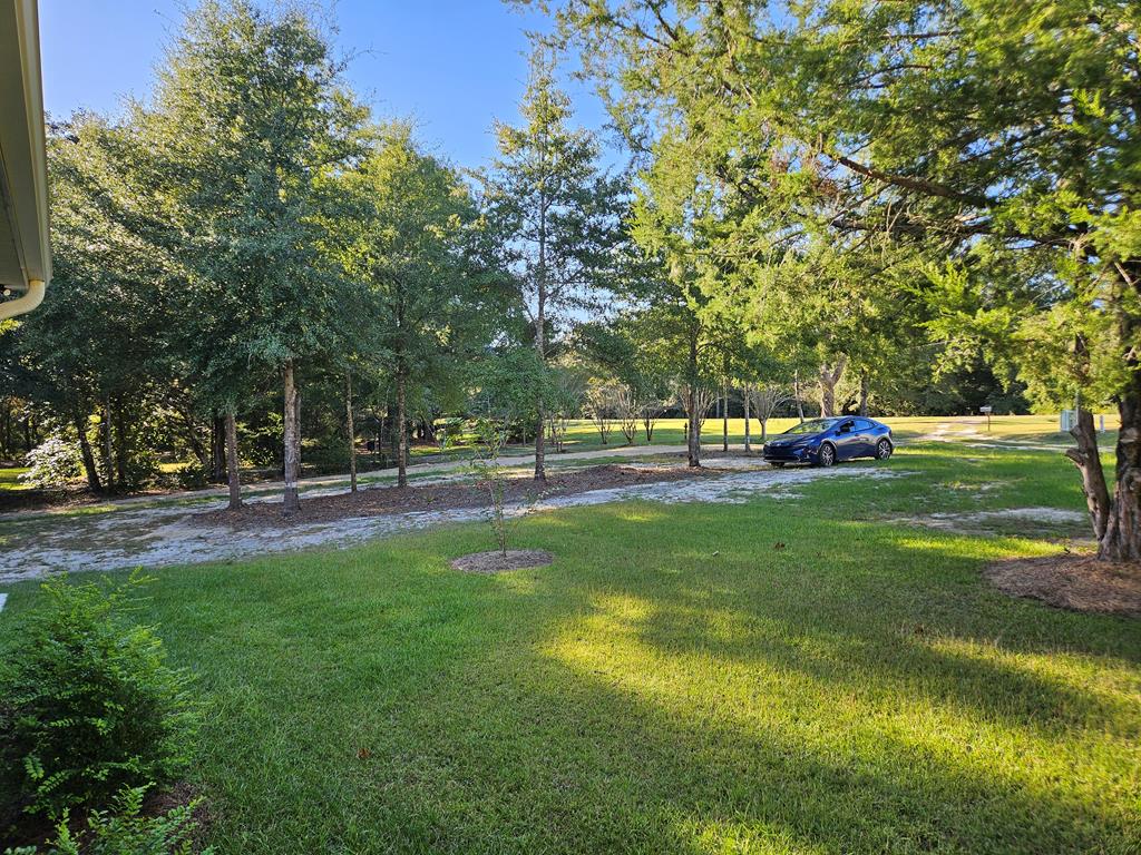 265 Simmons Street, Samson, Alabama image 50