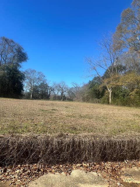 Vacant Land For Sale - 332 South Park<br/> Greenville, AL 36037