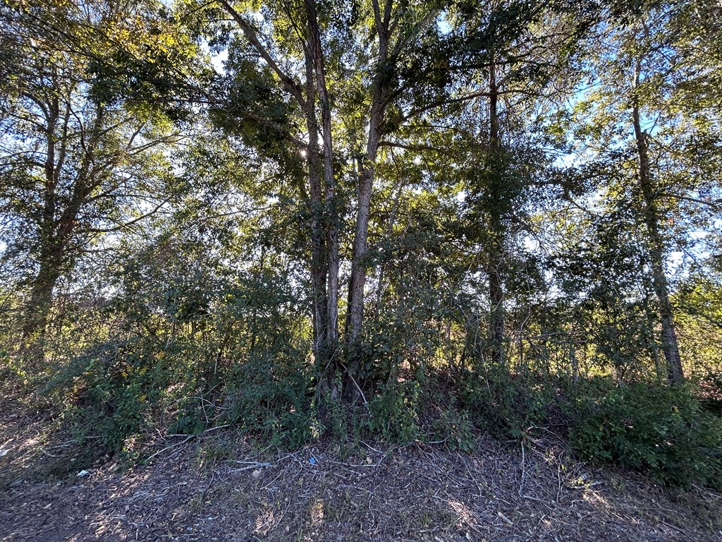 4.297+-ac Lot 3, Willie Varnum Rd, Cottonwood, Alabama image 11